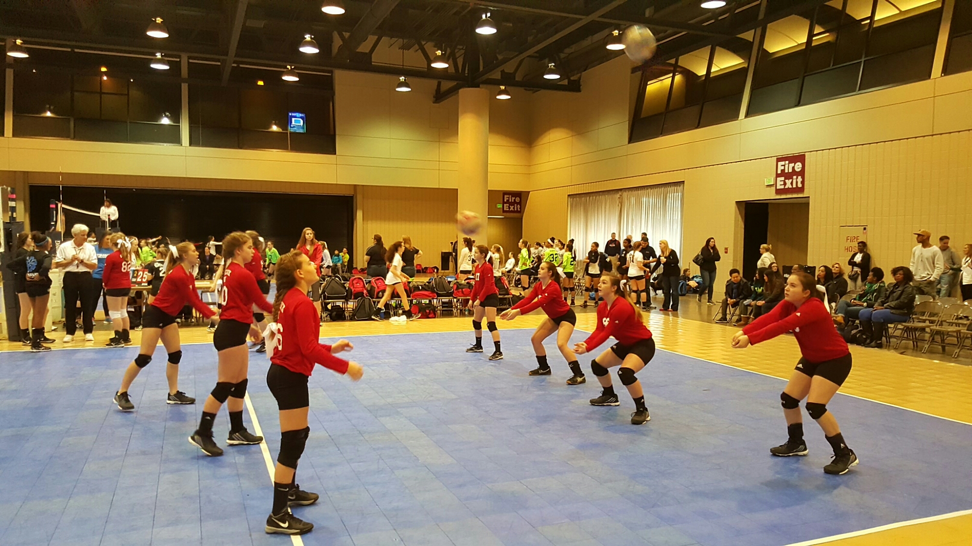 Jacksonville Gamecock Volleyball